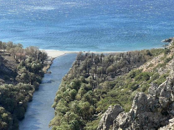 Φωτογραφικό υλικό από την περιοχή του Φοινικόδασους Πρέβελη μετά την πρόσφατη πυρκαγιά