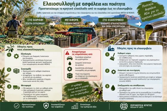 Ελαιοσυλλογή με ασφάλεια και ποιότητα. Οδηγίες της Περιφέρειας Κρήτης για την προστασία του ελαιολάδου από επιμολύνσεις ορυκτελαίων